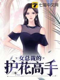 女总裁的护花高手